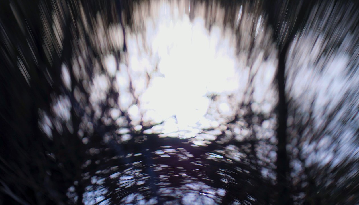 Gobelin wodny III, 2017, (fotografia manipulowana) autorstwa Helen White