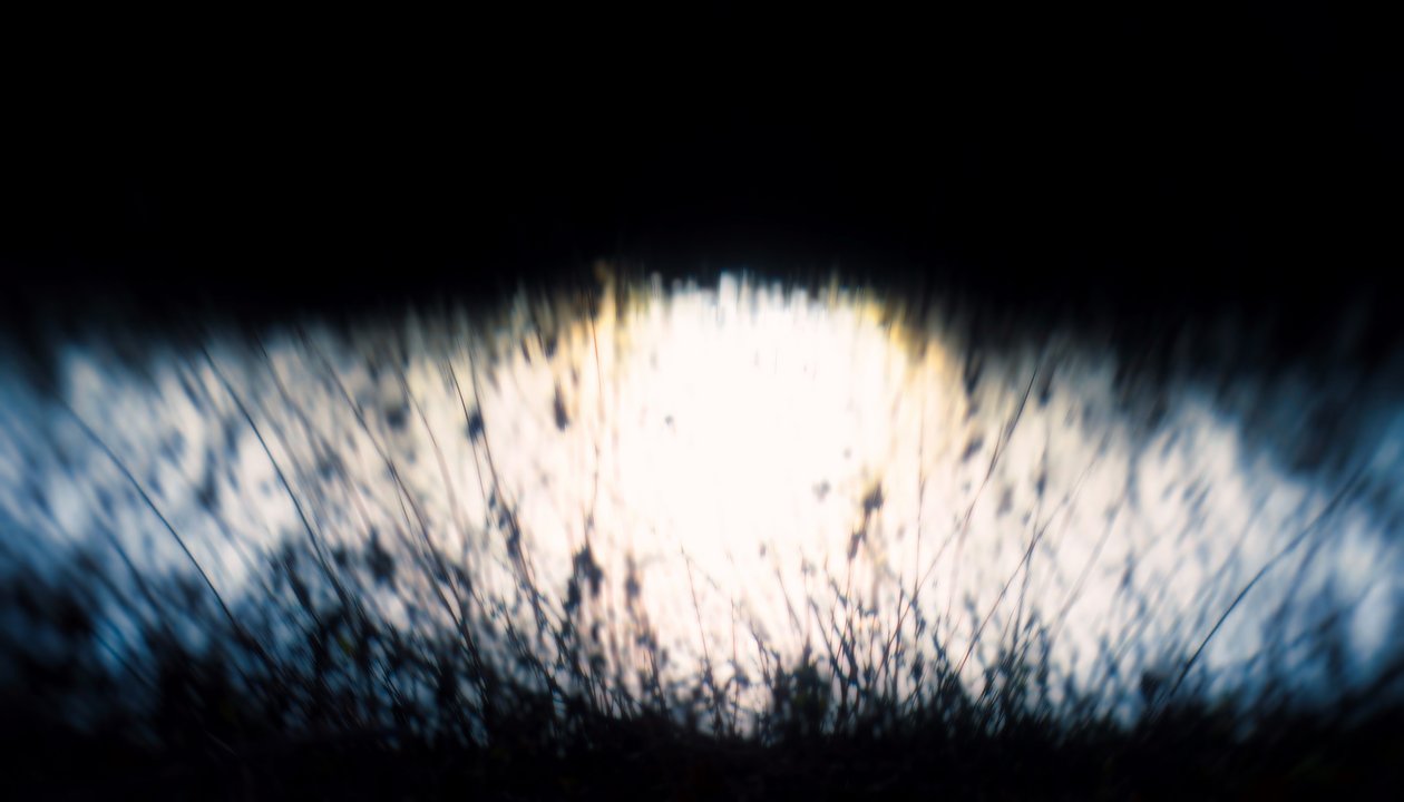 Wodny gobelin IV, 2017, (fotografia manipulowana) autorstwa Helen White
