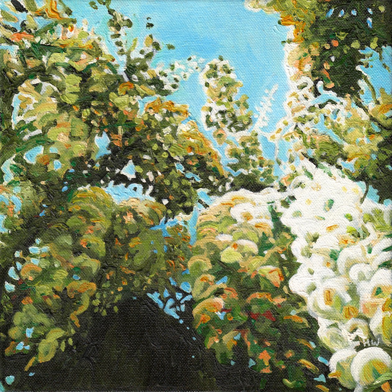 Biała glicynia, 2012 autorstwa Helen White