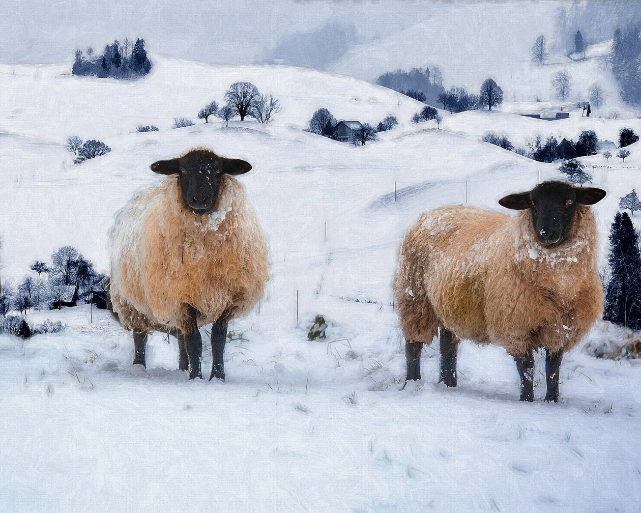 Płaszcze zimowe, 2019 autorstwa Helen White