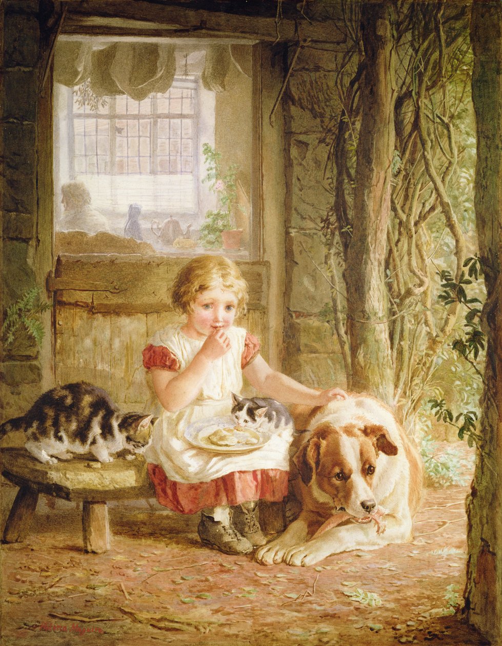 bałagan kumpli autorstwa Helena J. Maguire