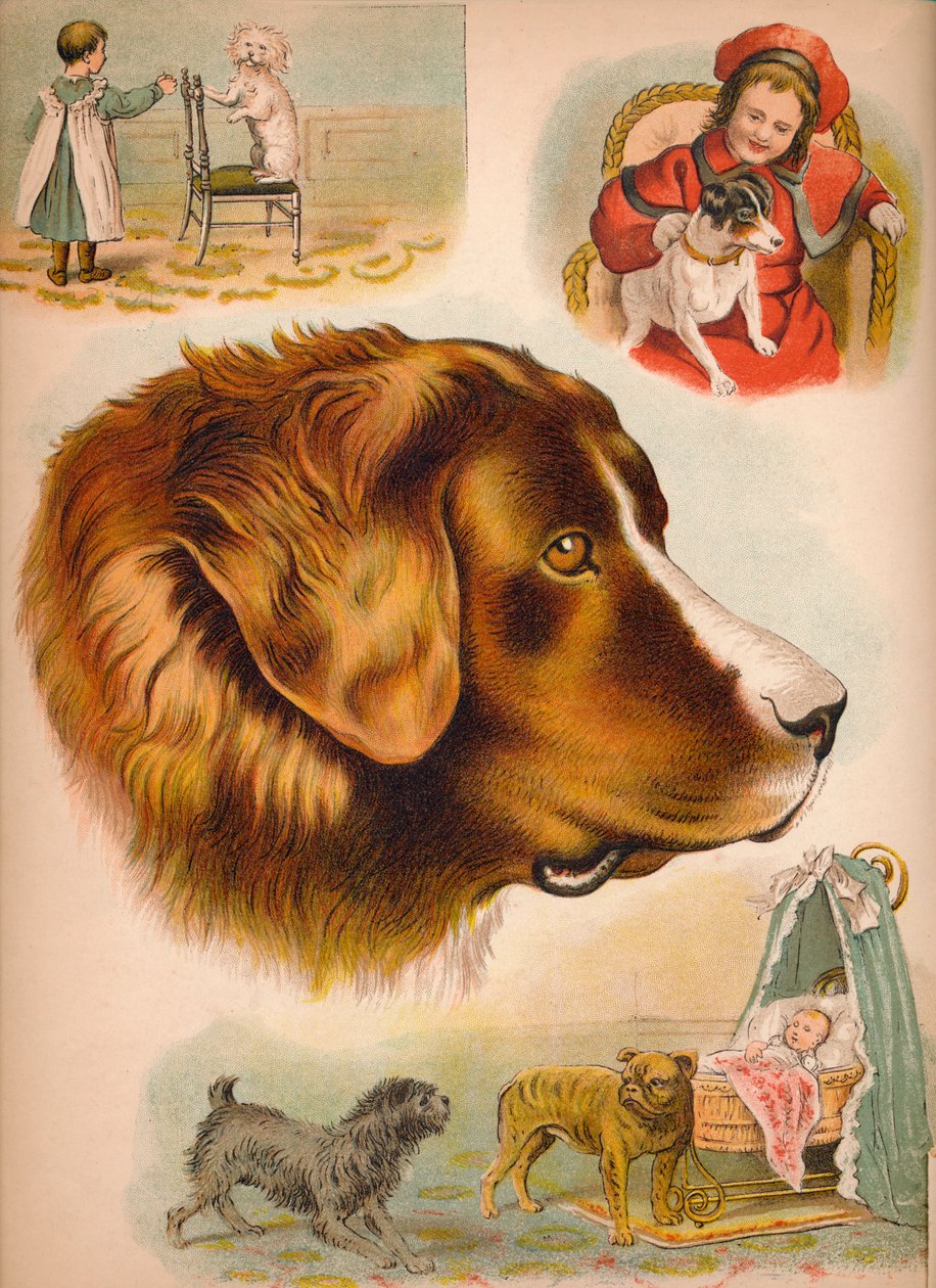 Pies, ok. 1900 autorstwa Helena J. Maguire