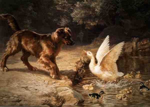 Intruz (akwarela na papierze) autorstwa Helena J. Maguire