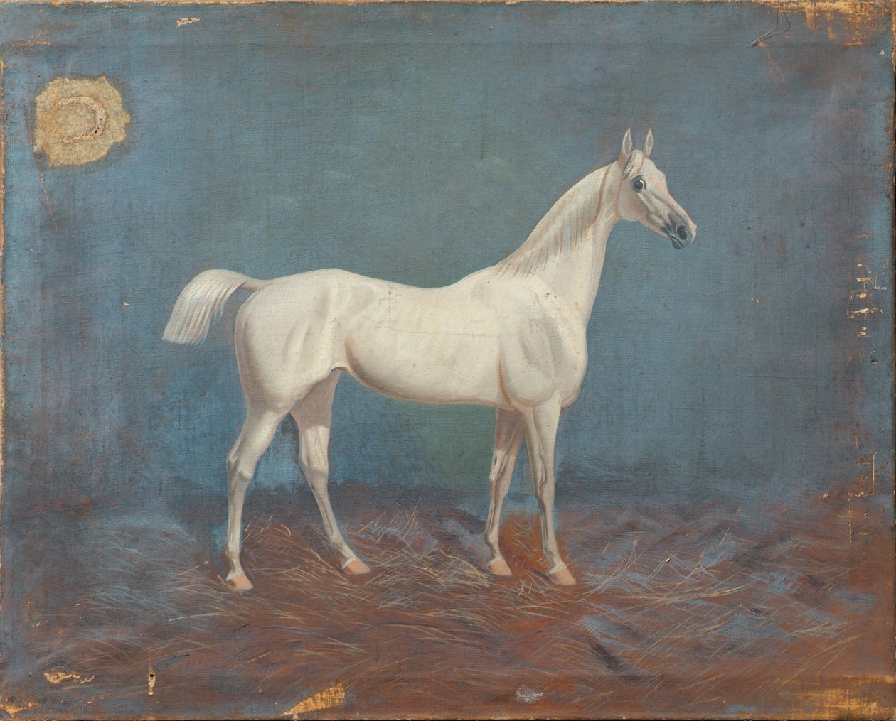 Forma autorstwa Hema A. Groy