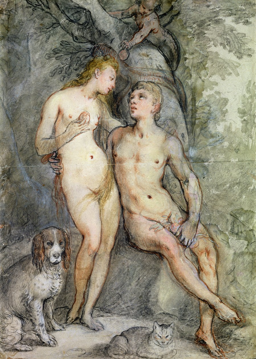 Adam i Ewa (ołówek i kredka na papierze) autorstwa Hendrik Goltzius