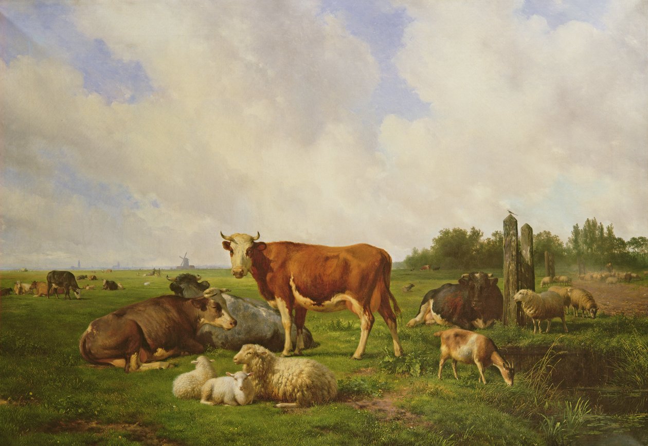 Owce i bydło na polu autorstwa Hendrick van de Sande Bakhuyzen
