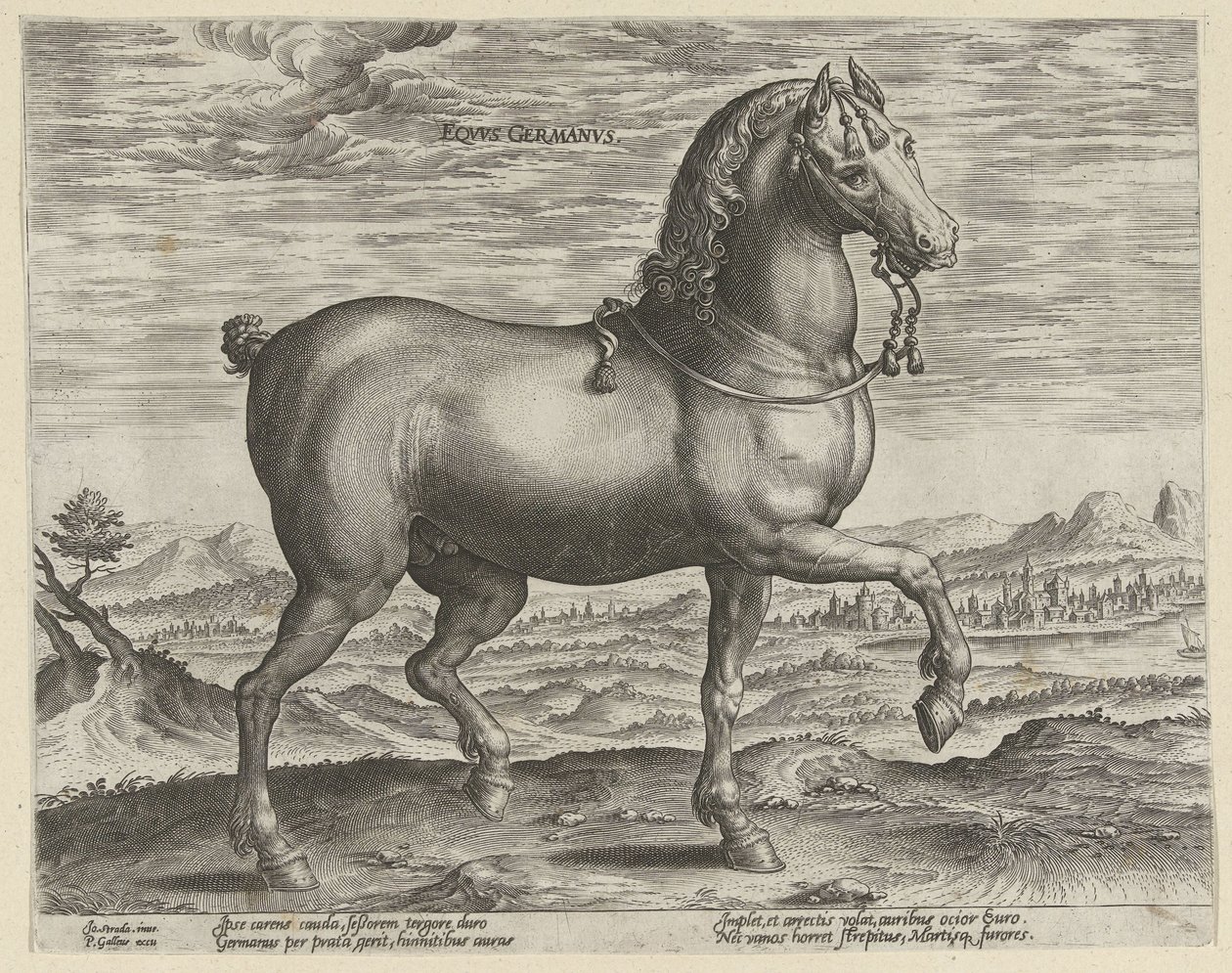 Ogier z Niemiec Eqvvs Germanvs (tytuł na obiekcie) Rasy koni z Królewskich Stajni Don Juana Austrii (tytuł serii) Equile Ioannis Austriaci Caroli (tytuł serii) autorstwa Hendrick Goltzius (possibly)