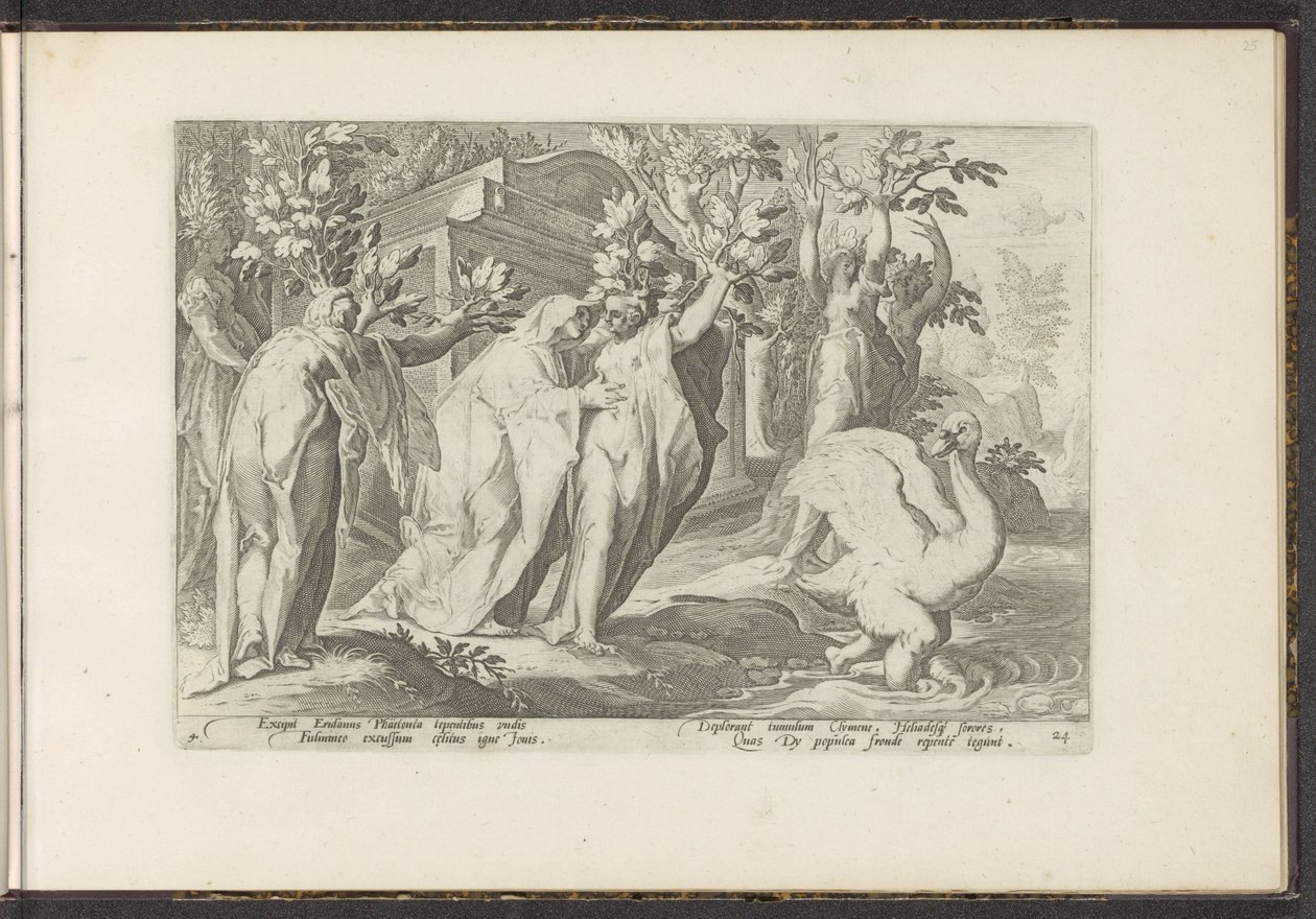 Siostry Phaethona zamieniają się w topole, a jego przyjaciel w łabędzia Metamorfozy Owidiusza (tytuł serii) Odtworzenia P. Ovidiusa Naso (tytuł serii) autorstwa Hendrick Goltzius (workshop of)