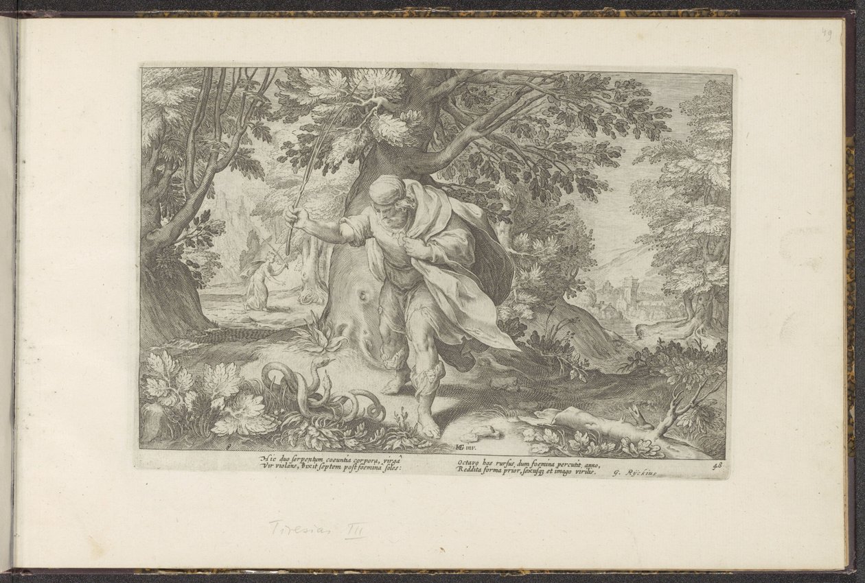 Tiiresias uderza w dwa parujące się węże Metamorfozy Owidiusza (tytuł serii) Odtworzenia P. Ovidiusa Naso (tytuł serii) autorstwa Hendrick Goltzius (workshop of)