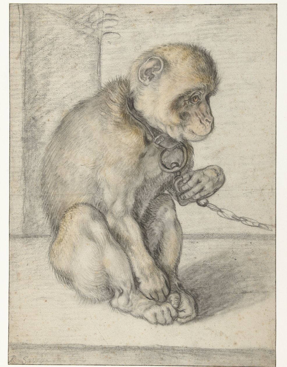 Siedząca małpa na łańcuchu Małpa na łańcuchu, siedząca autorstwa Hendrick Goltzius