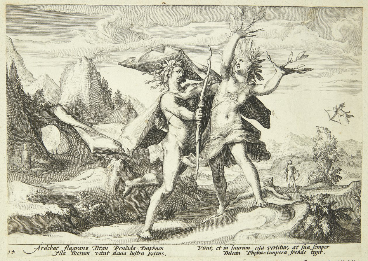 Daphne przekształciła się w drzewo laurowe autorstwa Hendrick Goltzius