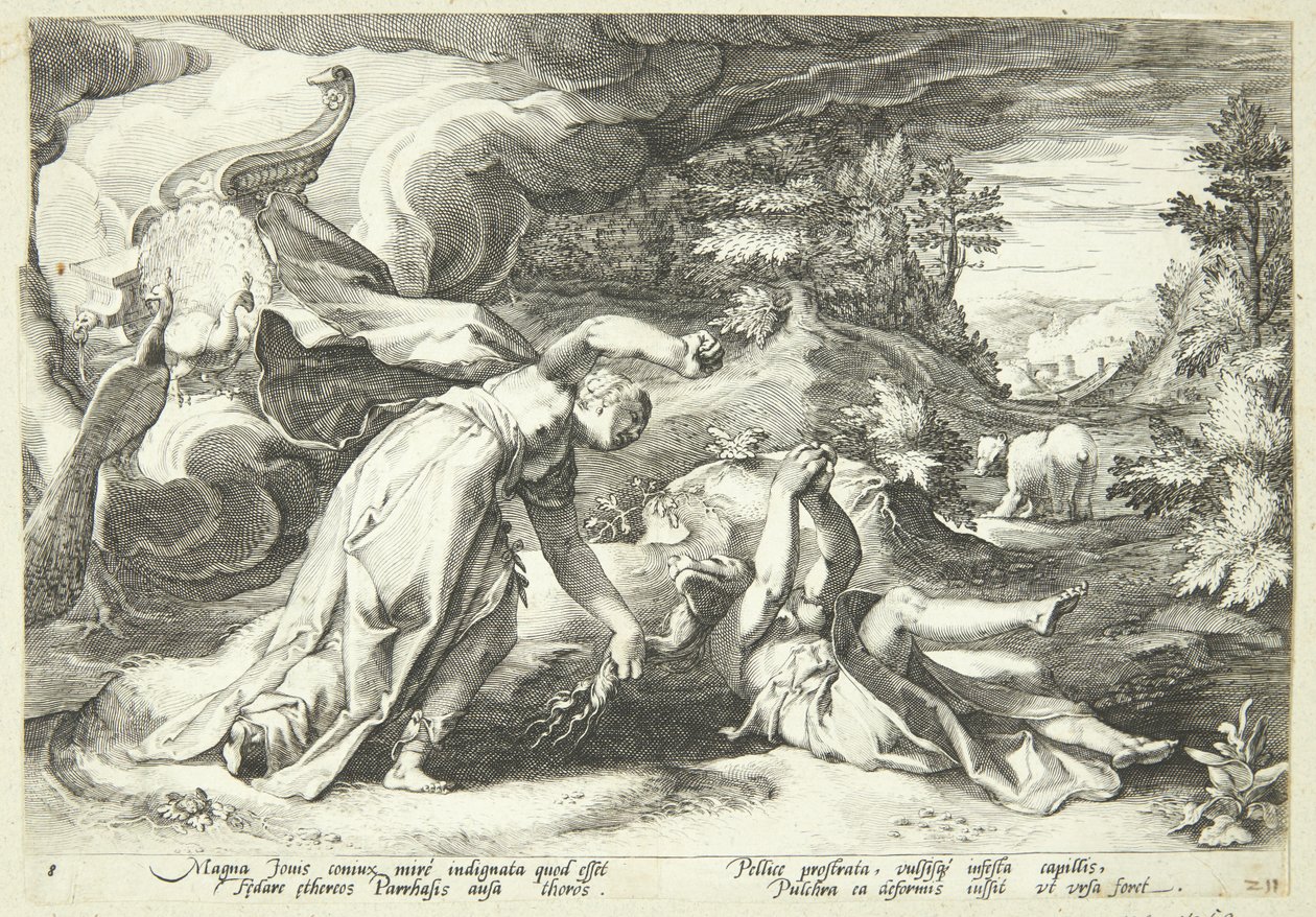 Juno zamienia Kallisto w niedźwiedzia autorstwa Hendrick Goltzius