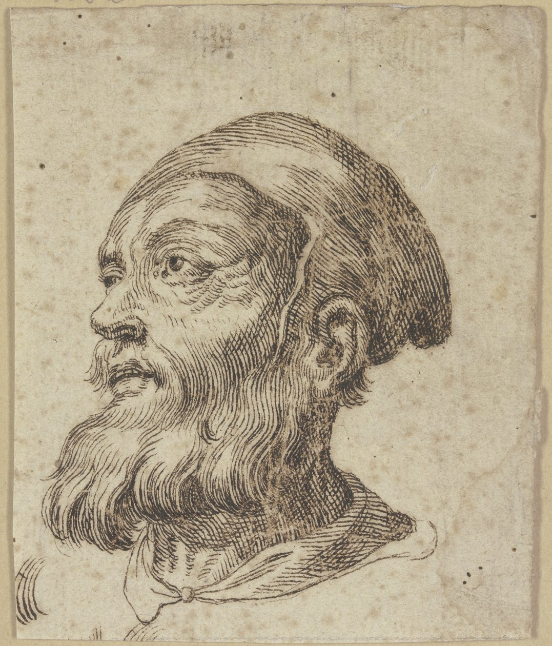 Głowa starszego mężczyzny w profilu trzech czwartych w lewo autorstwa Hendrick Goltzius