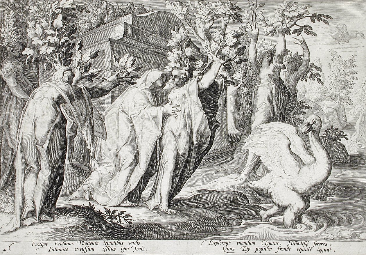 Siostry Faetona przemienione w topole, a Cygnus w łabędzia autorstwa Hendrick Goltzius