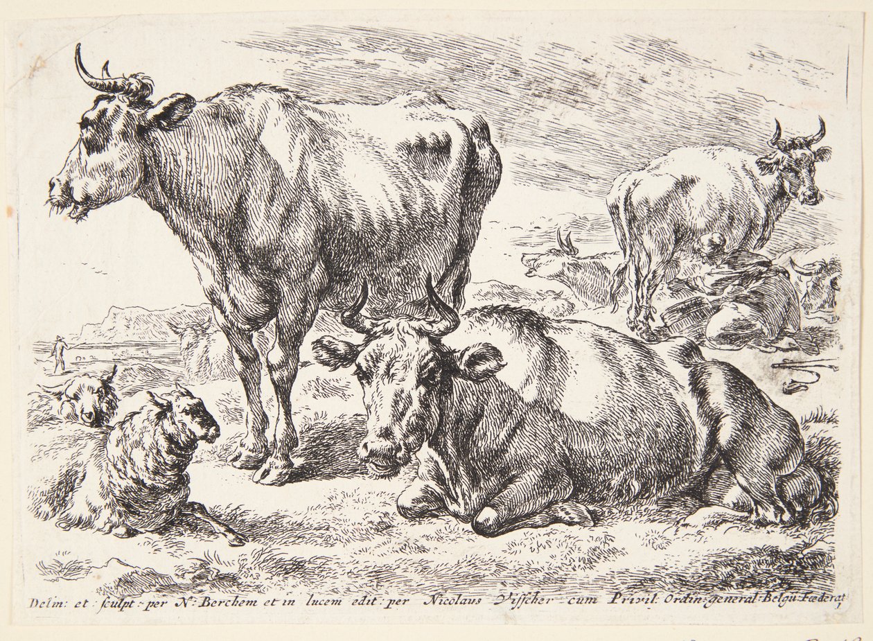 Portret członka rodziny Out. Cornelis Out (?) autorstwa Hendrick Goltzius