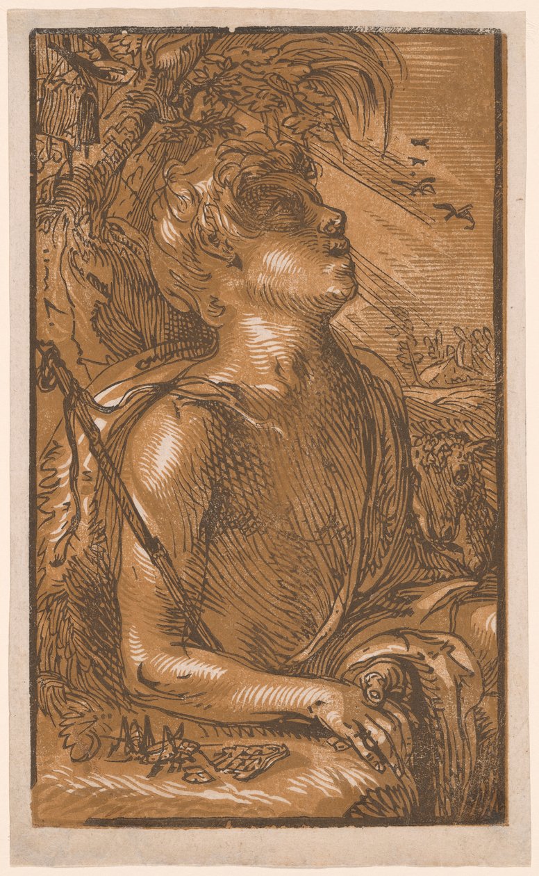 Święty Jan Chrzciciel autorstwa Hendrick Goltzius