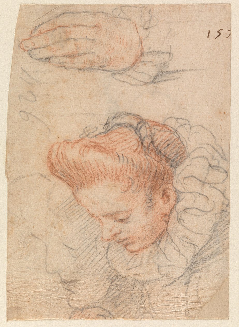 Arkusik szkicowy z głową kobiety i dłonią autorstwa Hendrick Goltzius