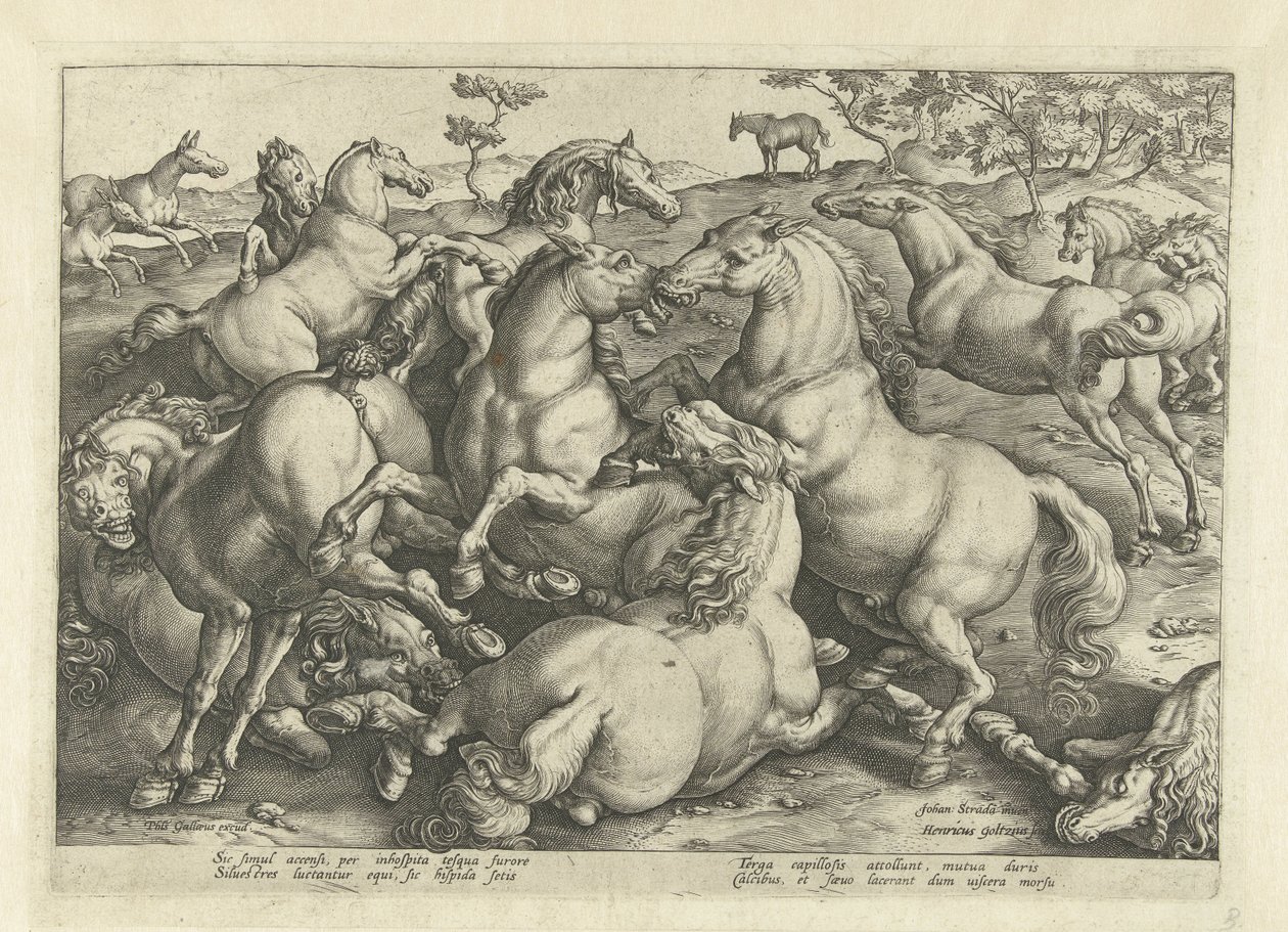 Dwanaście koni bojowych Rasy koni z Królewskich Stajni Don Juana Austrii (tytuł serii) autorstwa Hendrick Goltzius