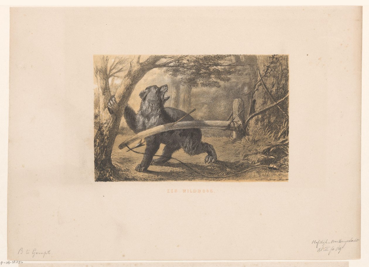 niedźwiedź w pułapce Wildbow (tytuł na obiekcie) autorstwa Hendrik Adriaan Christiaan Dekker