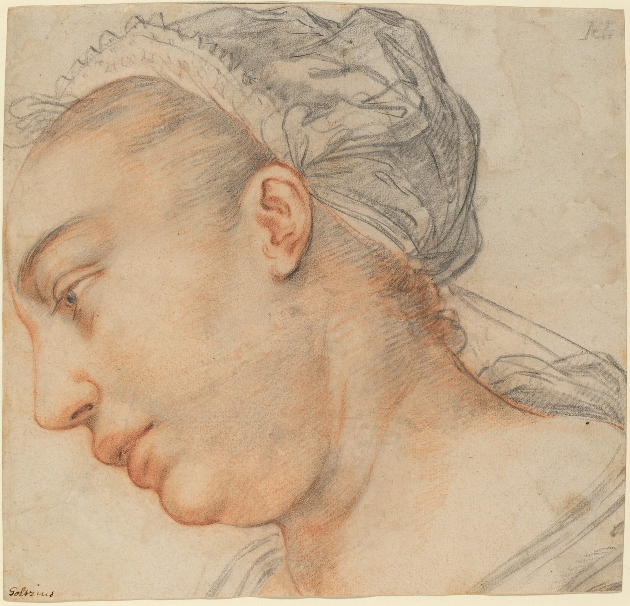 Głowa młodej kobiety autorstwa Hendrik Goltzius