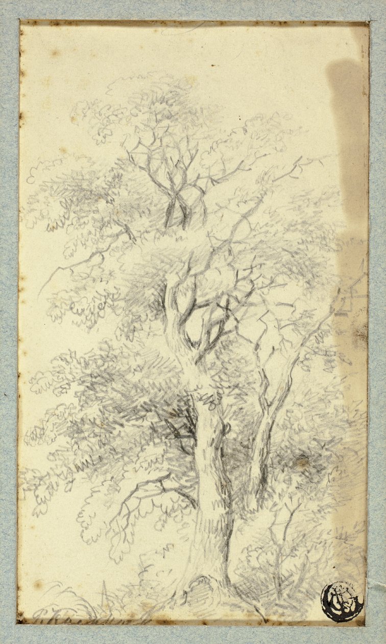 Drzewo autorstwa Hendrik Pieter Koekkoek