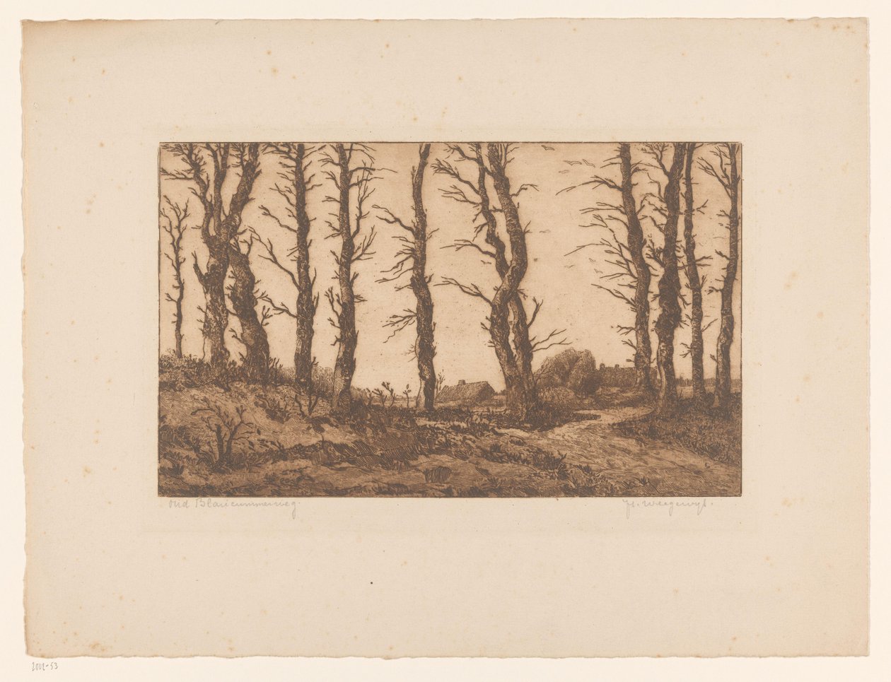 Oud Blaricummerweg (oryginalny tytuł na obiekcie) autorstwa Hendrik Weegewijs (signed by artist)
