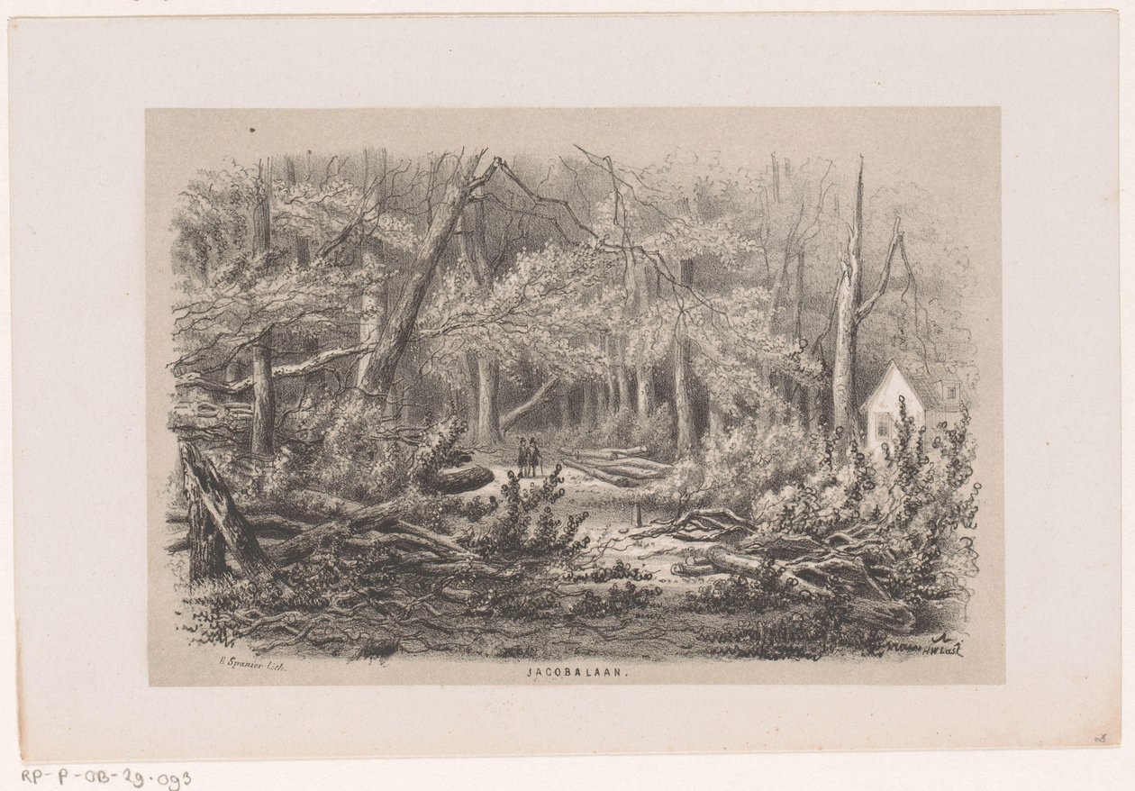 Drzewa zwalone na Jacobalaan, po burzy 28 maja 1860 Jacobalaan (tytuł na obiekcie) Album dziesięciu litografowanych szkiców, przedstawiających Tooneelena Zniszczenia, Poruszony burzą z 28 maja 1860 r. w Gravenhaagsche Bosch, autorstwa Hendrik Wilhelmus Last