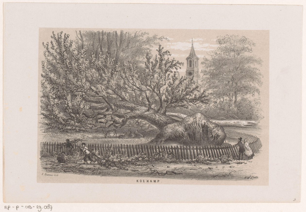 Zwalone drzewo w Koekamp, ​​po burzy z 28 maja 1860 r Koekamp (tytuł na obiekcie) Album dziesięciu litografowanych szkiców, przedstawiających Tooneelen Zniszczenia, Poruszony burzą z 28 maja 1860 r. w Gravenhaagsche Bosch, w Sche autorstwa Hendrik Wilhelmus Last