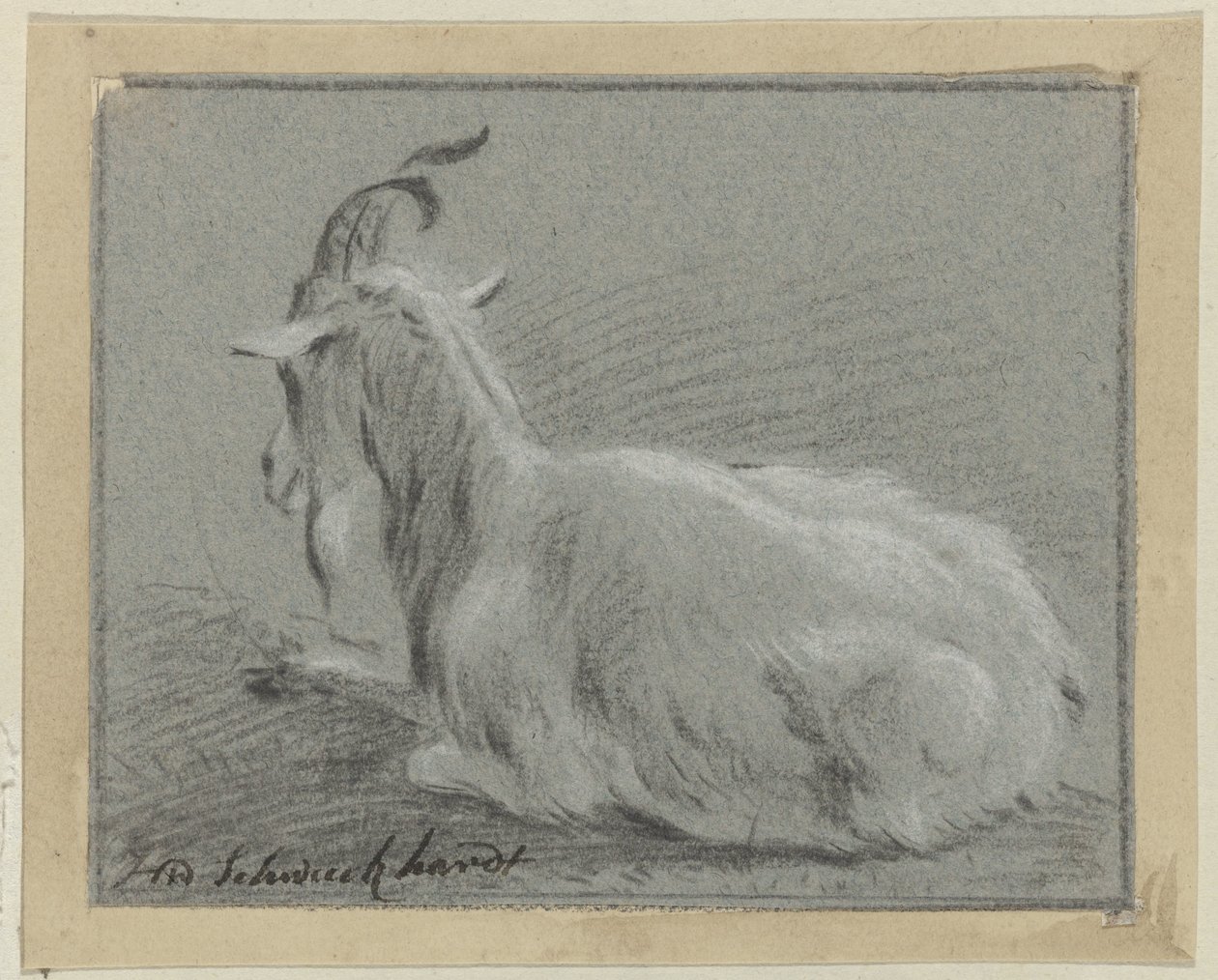 leżąca koza autorstwa Hendrik Willem Schweickhardt (signed by artist)