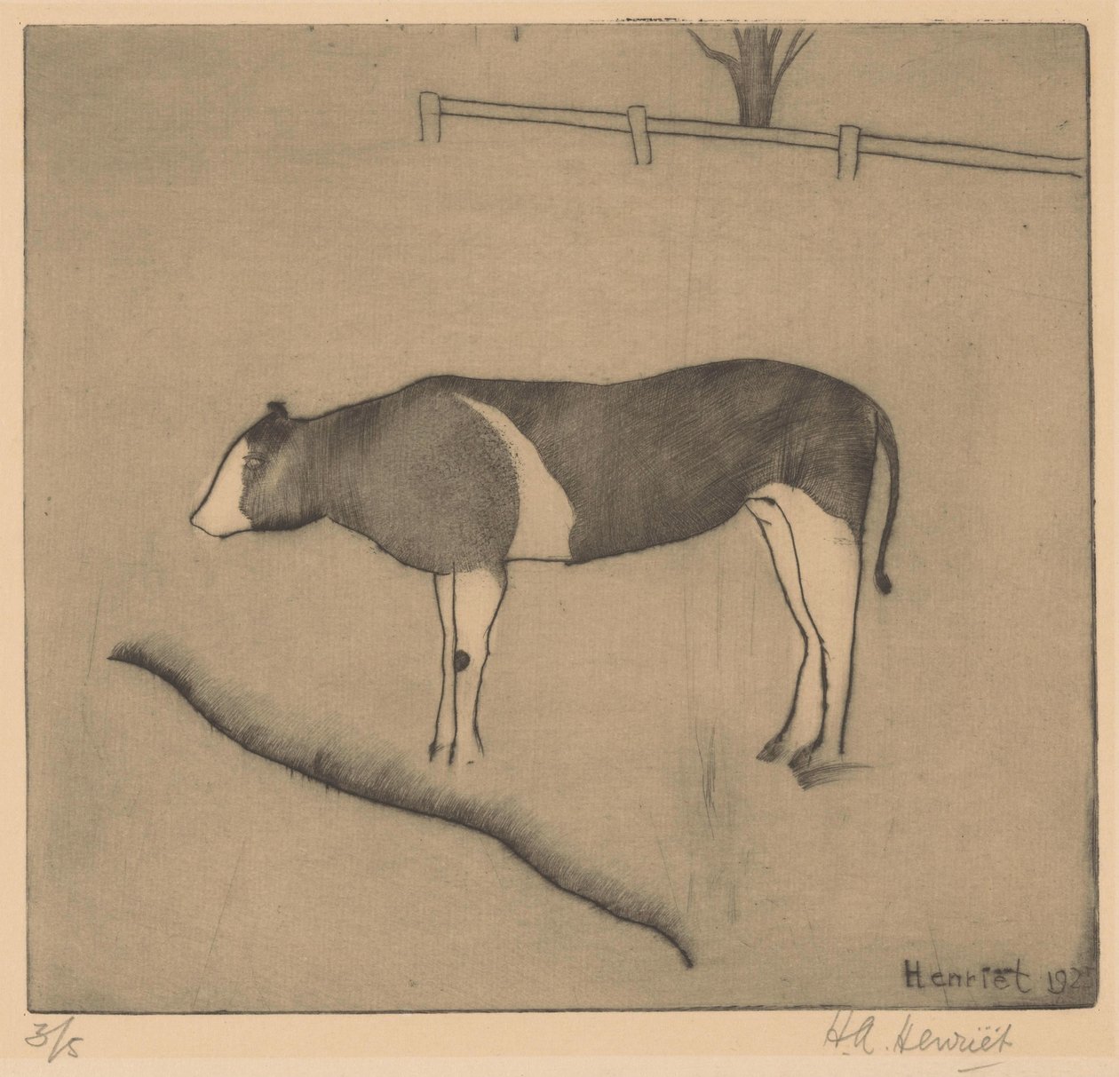 Krowa stojąca przy banku autorstwa Henk Henriët (signed by artist)