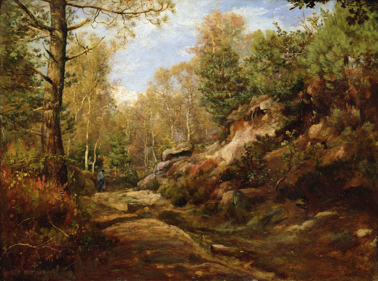 Sosny i brzozy albo Las w Fontainebleau, ok. 1855-57 autorstwa Henri Joseph Constant Dutilleux