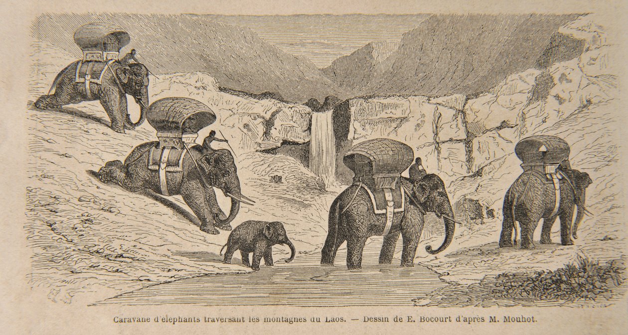 Caravan of Elephants Crossing the Mountains of Laos, grafika wykonana przez E. Bocourta, ilustracja z „Travels in the Central Parts of Indo-China (Siam), Cambodia and Laos during the Years 1858, 1859 oraz autorstwa Henri Mouhot