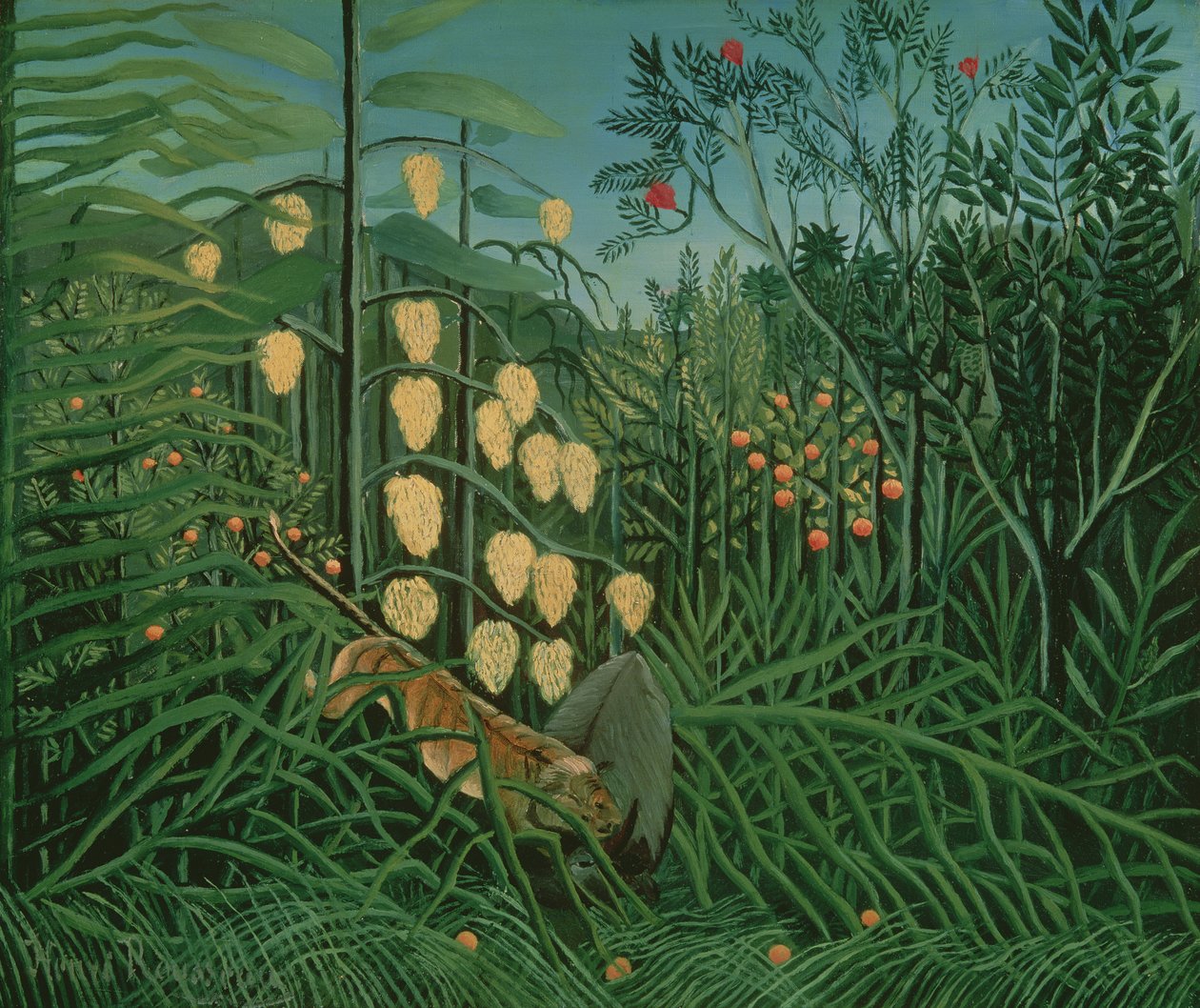Las tropikalny: walczący tygrys i bawoły, 1908 autorstwa Henri Rousseau