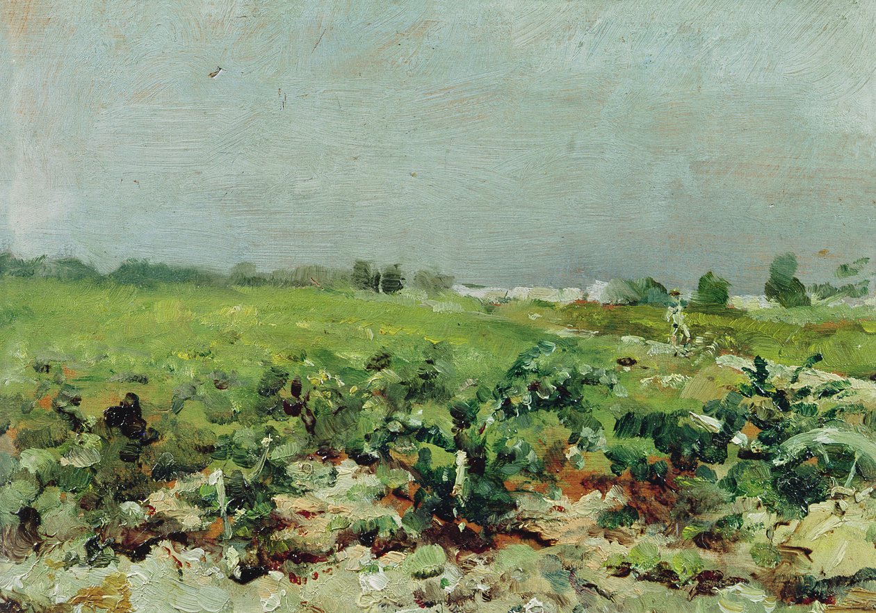 Celeyran, Widok na winnicę, 1880 autorstwa Henri de Toulouse Lautrec