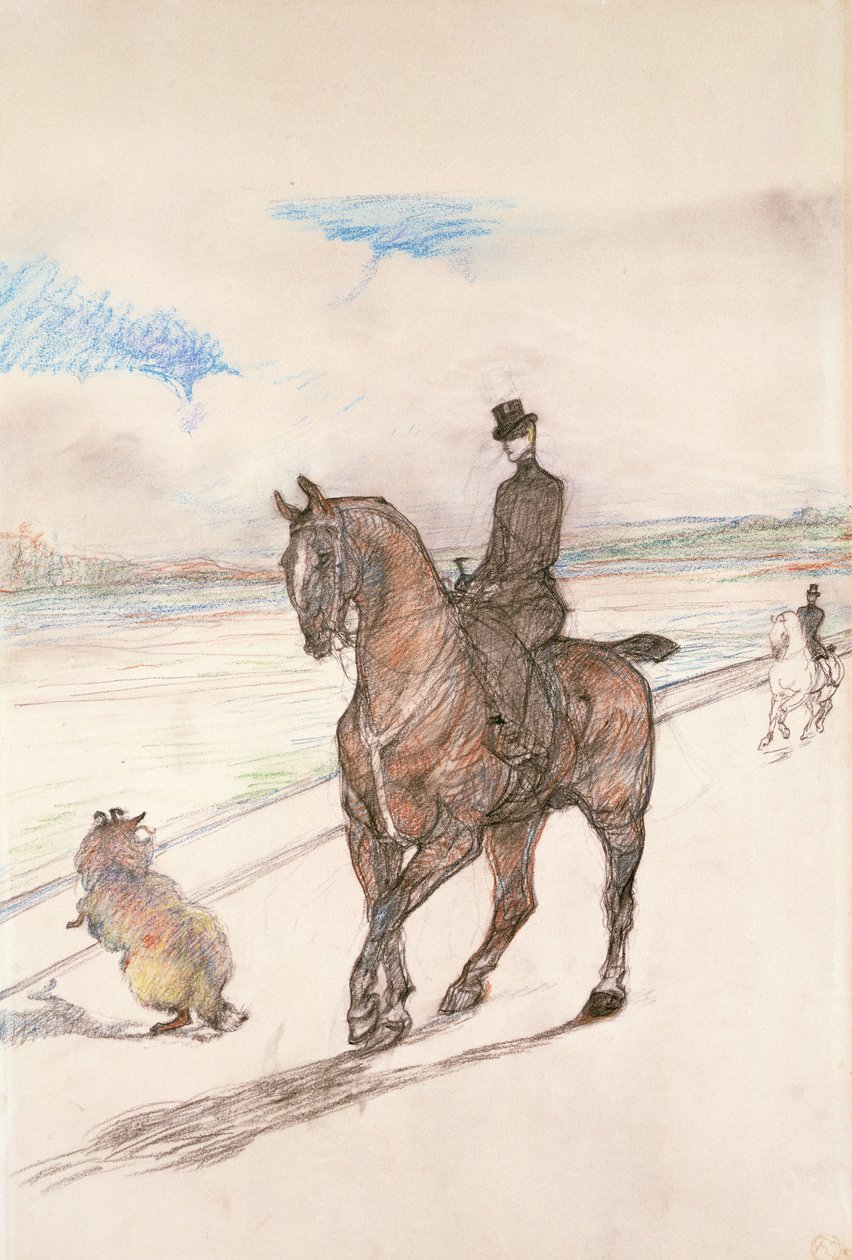 Amazonka, ok.1899 (kolorowa kredka na papierze) autorstwa Henri de Toulouse Lautrec