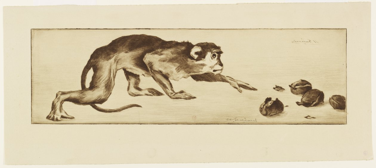 Małpa i Kasztany, XIX w. (akwaforta i ruletka) autorstwa Henri Charles Guérard