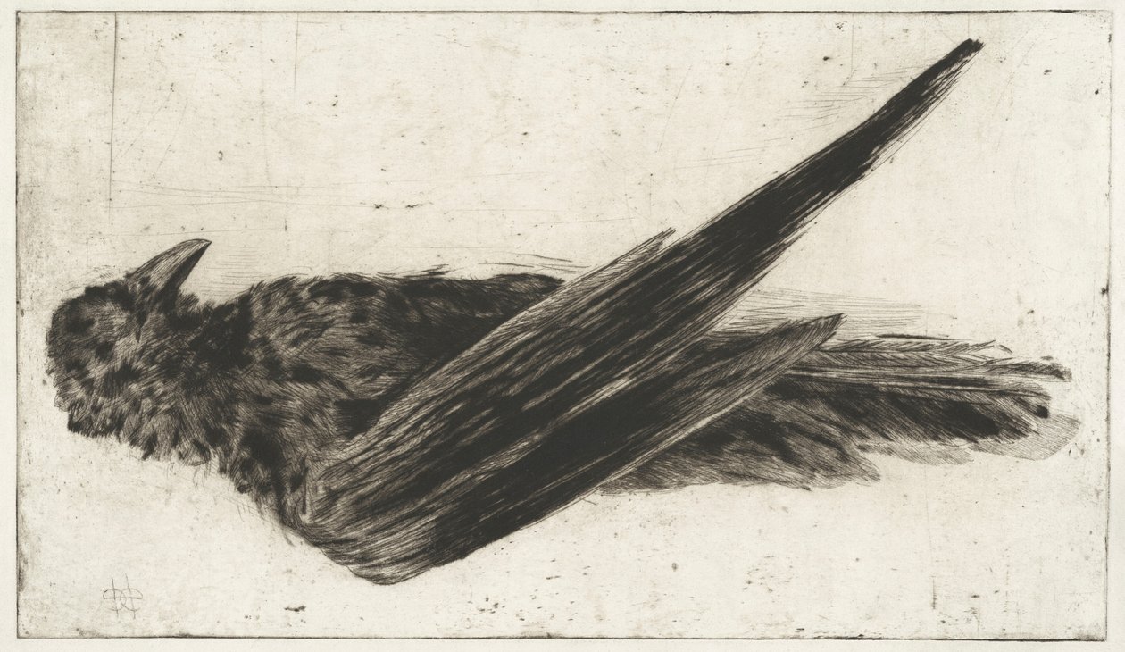 Duży wiszący kruk autorstwa Henri-Charles Guérard