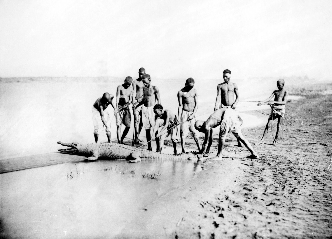 Polowanie na krokodyla, Nubia, Egipt, 1887 autorstwa Georges Henri Bechard