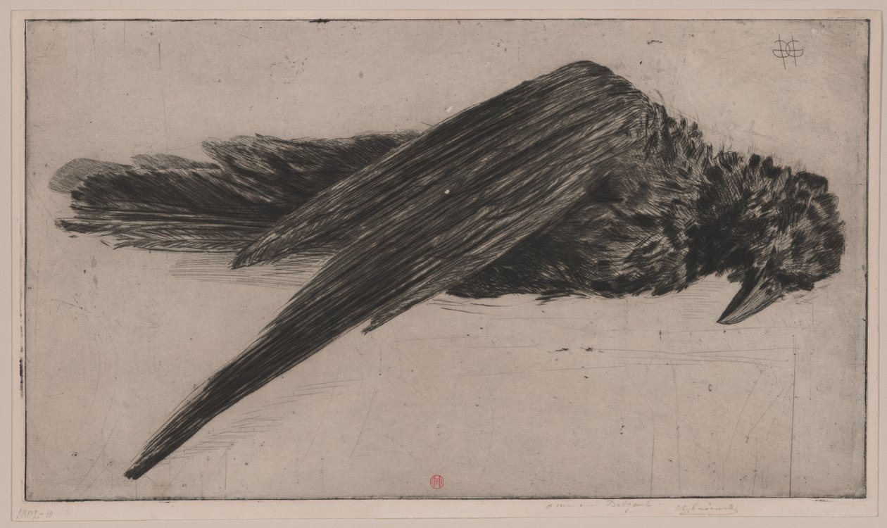 Wielki wiszący kruk (Le Grand Corbeau Pendu), autorstwa Henri Charles Guérard
