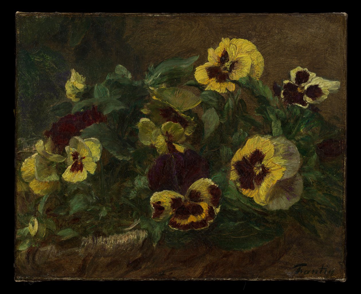 Pansies autorstwa Henri Fantin-Latour