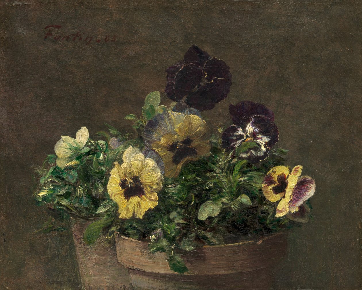 Bratki doniczkowe, 1883. autorstwa Ignace Henri Jean Fantin Latour