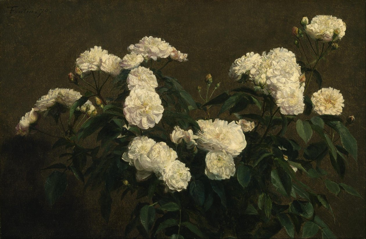 Martwa natura z białymi różami autorstwa Henri Fantin Latour