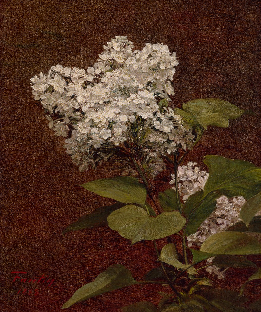 Białe bzy autorstwa Ignace Henri Jean Fantin Latour