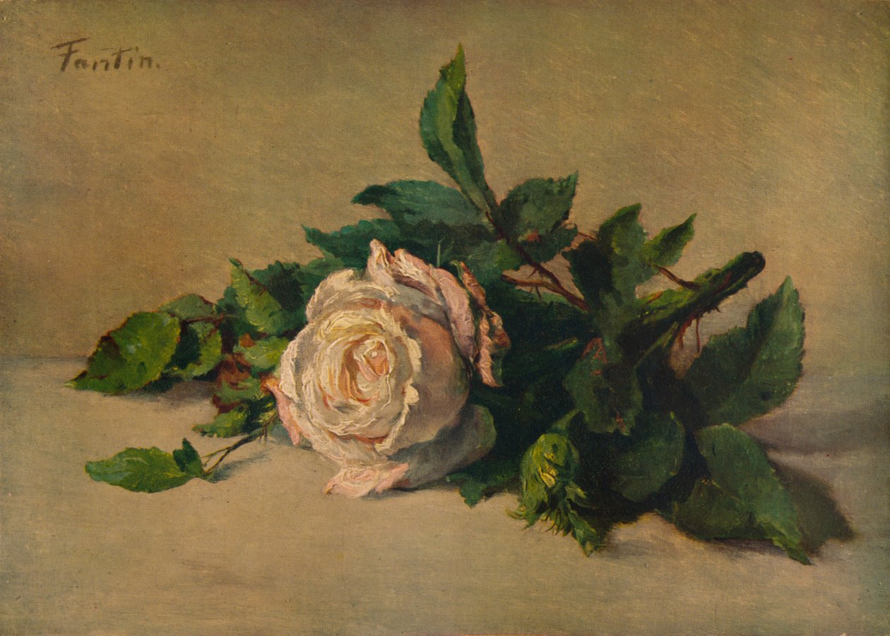 Biała Róża, ok. 1863, 1938 r autorstwa Ignace Henri Jean Fantin Latour