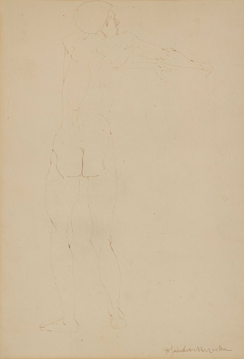 Akt męski (długopis na papierze) autorstwa Henri Gaudier Brzeska