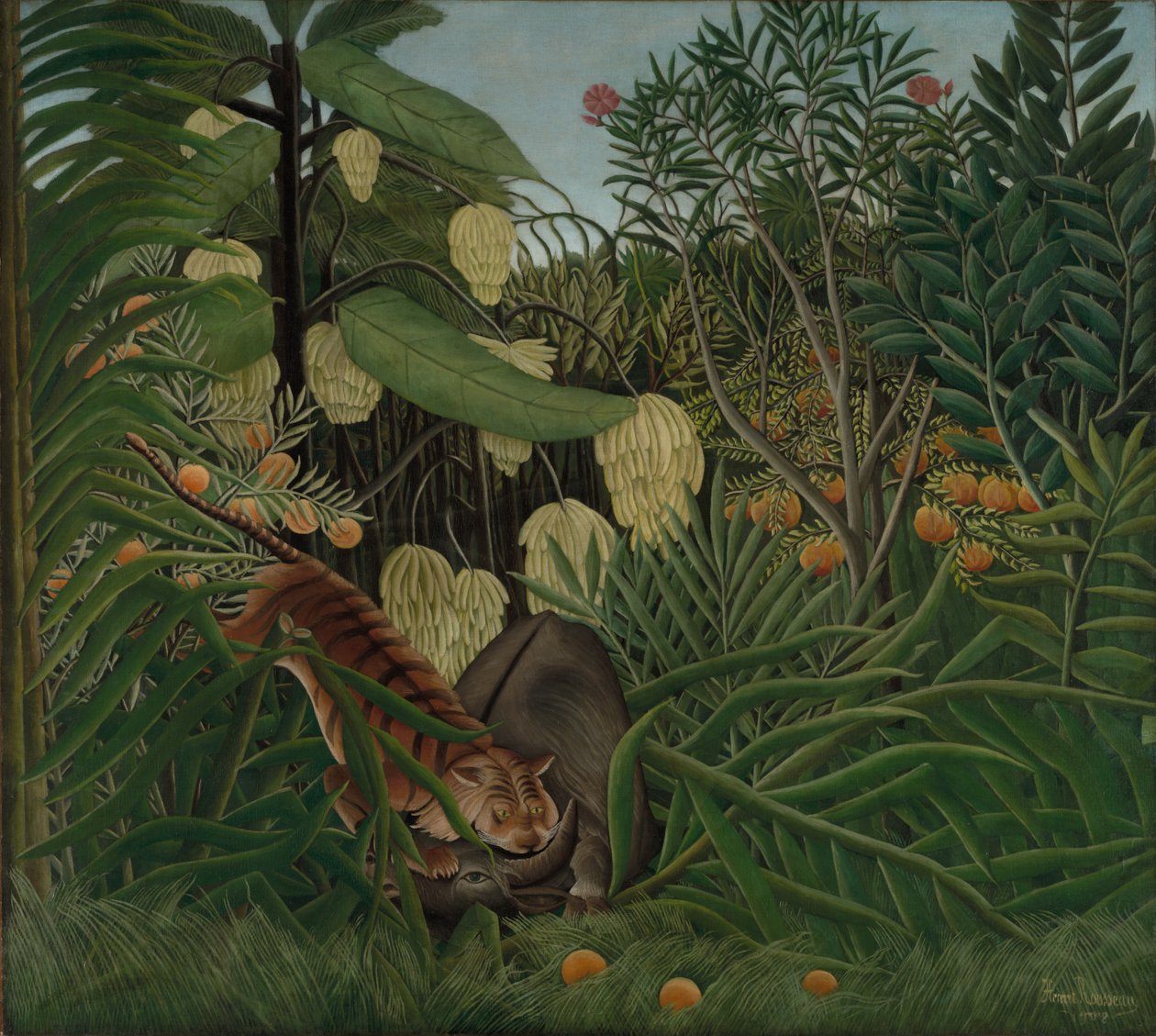 Walka między tygrysem a bawołem, 1908 autorstwa Henri J.F. Rousseau