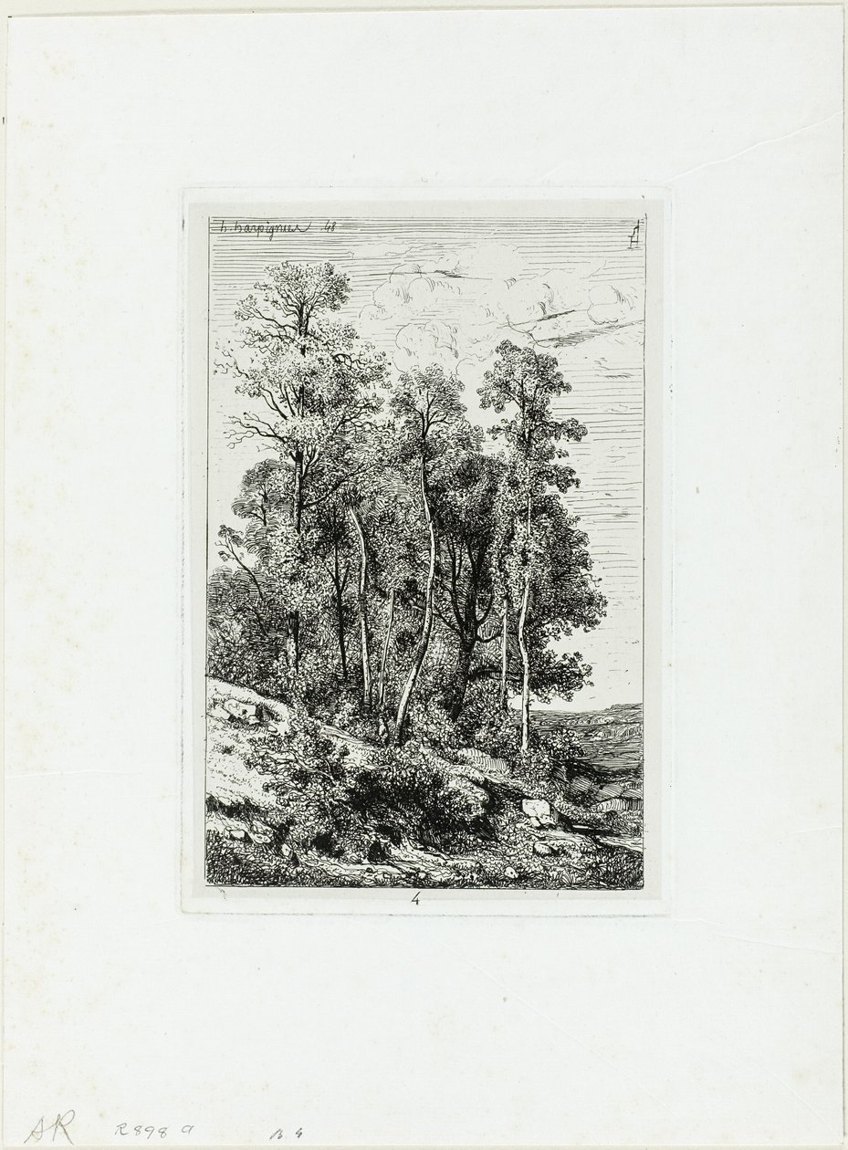 Brzozy i Dęby autorstwa Henri Joseph Harpignies