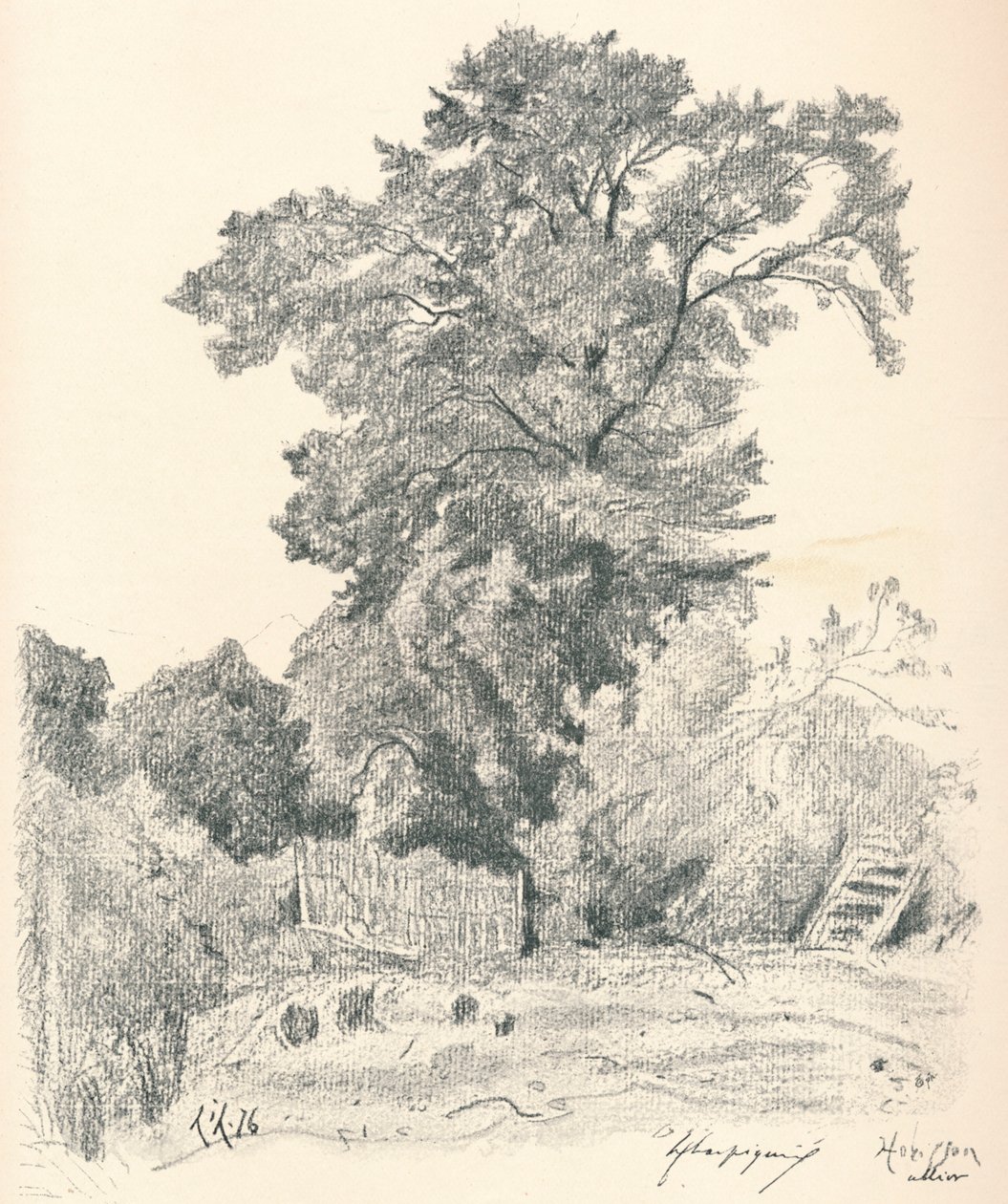 Studium Drzew, c1839-1898, 1898 autorstwa Henri Joseph Harpignies