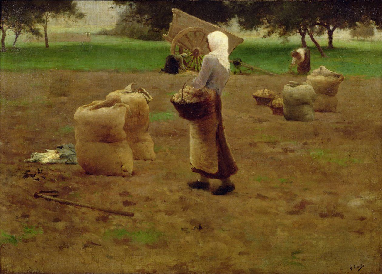 Zbiór ziemniaków autorstwa Henri Lerolle