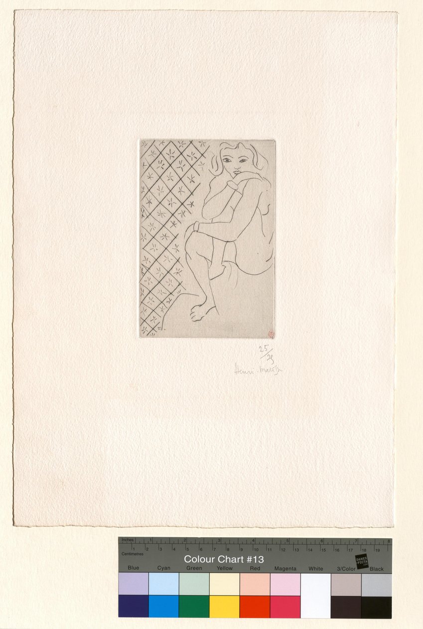Siedzący akt, tło z gwiaździstych płytek autorstwa Henri Matisse